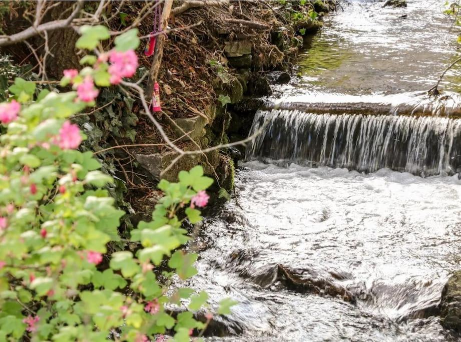 Babbling Brook Cottage Stony Middleton Exteriör bild